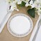10 pcs Plastic WHITE with Silver Rim 6" PLATES Disposable
